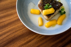 Barramundi