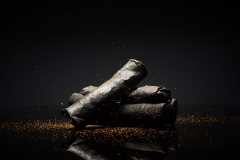 Edible Charcoal